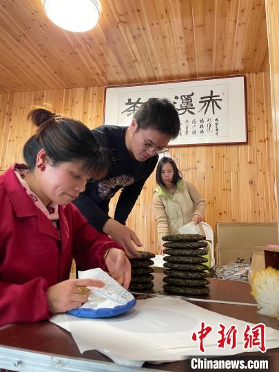 資料圖：杜贏(左二)在整理白茶餅?！×执阂?攝